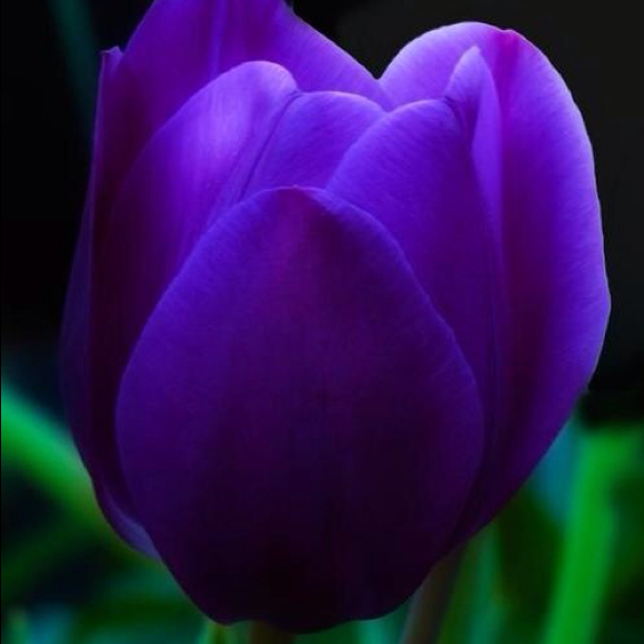 Profile Picture of Alice Moore (@motorally) on Poshmark