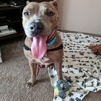 Profile Picture of Ashlee Meyer (@ashlee-meyer-1) on Quora