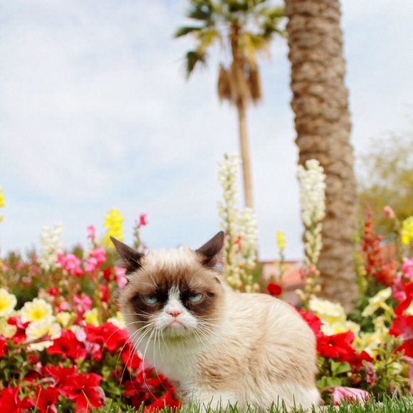 Profile Picture of Danielle Guy (@danieg_) on Poshmark