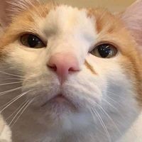 Profile Picture of Andrew Sauls (@andrew-sauls-12) on Quora