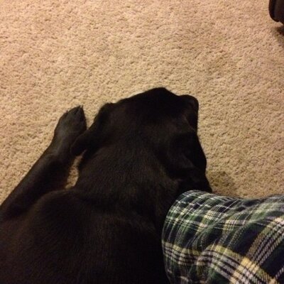 Profile Picture of Bradley R. Turney (@TurneyBradley) on Twitter