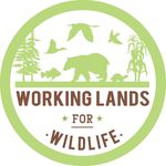 Profile Picture of Working Lands for Wildlife (@workinglandsforwildlife) on Instagram