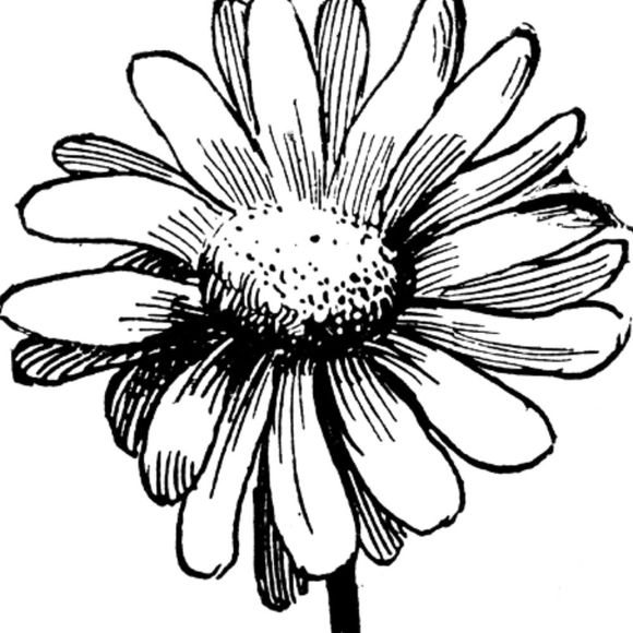 Profile Picture of Londondy Londondy (@londony07) on Poshmark