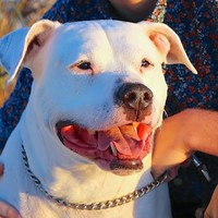 Profile Picture of Sasha Post (@sasha-post) on Quora