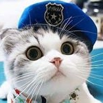 andre crowe - Instagram Profile Picture of andre crowe (@ncpcrw.35) on Instagram