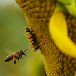 Profile Picture of Daniel Vrana (@vranadaniel) on Flickr