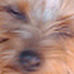 Jose Ignacio Luquin - Flickr Profile Picture of Jose Ignacio Luquin (@jluquinp) on Flickr