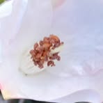 Profile Picture of CHangjiu Liu (@CHangjiu-Liu) on Facebook