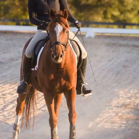 Profile Picture of Simone Cobbett (@simonecobbett) on Pinterest