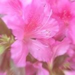 Profile Picture of Regina Driscoll (@rmdriscoll) on Instagram