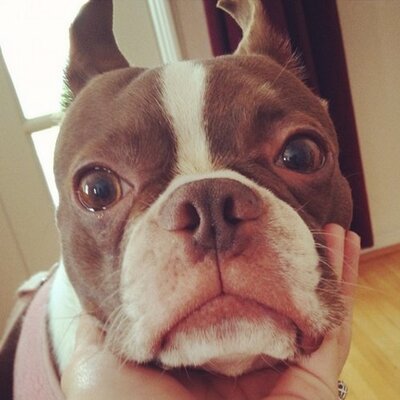 Profile Picture of Kristen Burns (@Kristen__Burns) on Twitter