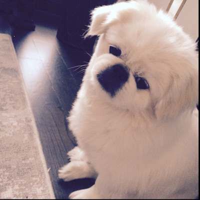 Profile Picture of Leah Letson (@jeralee3844) on Tiktok