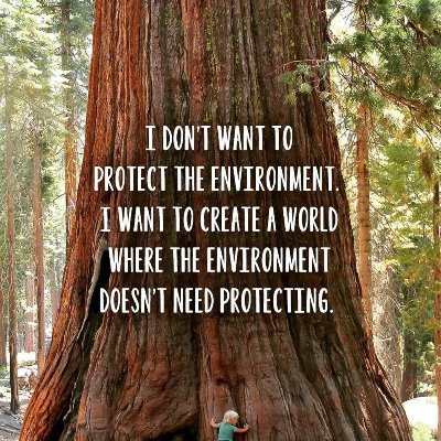 Profile Picture of Max Blitz (@divitiaenow) on Twitter