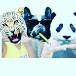 Profile Picture of Darin Barber (@da_savage_darin_24) on Instagram