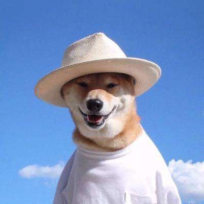 Profile Picture of Jason CHUA (@jasonchua66) on Tiktok