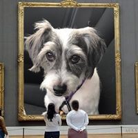 Dena Schwartz Chemers - Quora Profile Picture of Dena Schwartz Chemers (@dena-schwartz-chemers) on Quora