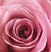 Profile Picture of Tina Sparkmen (@Tina-Sparkmen) on Facebook