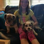 Profile Picture of Julia McGinnis (@juliamcginnis8) on Instagram