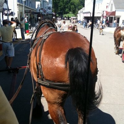 Profile Picture of Jeffrey Mortimer (@ffej428) on Twitter