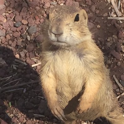 Profile Picture of Bora Moon (@Bmooncla) on Twitter