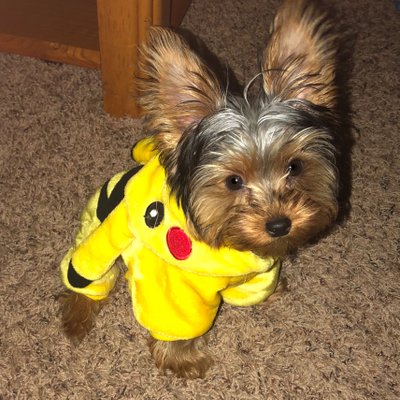 Aimee Neely - Twitter Profile Picture of Aimee Neely (@AimeeNeely1) on Twitter