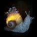Profile Picture of Kevin Willett (@dbwillett2003) on Pinterest