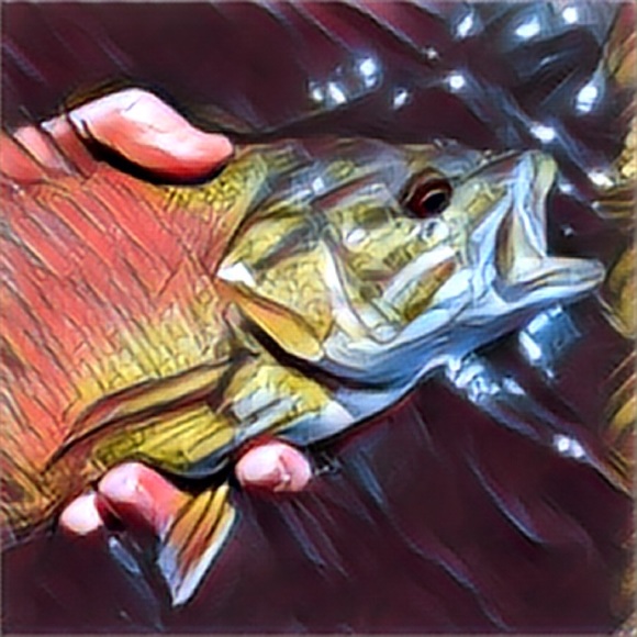 Profile Picture of John Klein (@iamjawn) on Poshmark