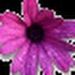 Profile Picture of Phyllis Newman (@newman5409) on Pinterest