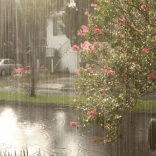 Profile Picture of Julie Denise (@julie.denise.718) on Facebook