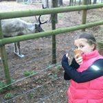 Profile Picture of margaret Judge (@margaretjudg) on Instagram