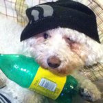 Profile Picture of Brennan Gillespie (@bgill42) on Instagram