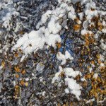 Profile Picture of Sipple (@sipplejosephhy) on Instagram