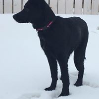 Profile Picture of Donna Campbell (@donna-campbell-101) on Quora