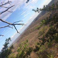 Profile Picture of Nathan Pennington (@nathan-pennington-11) on Quora