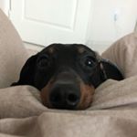 Profile Picture of 김둥 (@dong._.yii) on Instagram