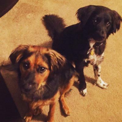 Profile Picture of Steven Bybee (@thestevenbybee) on Twitter