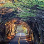 Profile Picture of Gentlemen Fan Club (@eric_liseelb) on Instagram