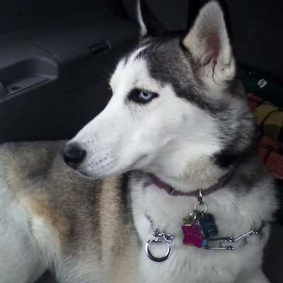 Profile Picture of Jim Anan (@AuthorJimAnan) on Twitter