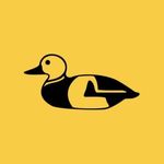 Profile Picture of Mr.Cat Teresina Shopping (@mrcat_teresina) on Instagram