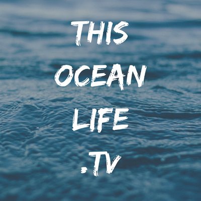 Profile Picture of Josh Pederson (@JoshPedersonH2O) on Twitter