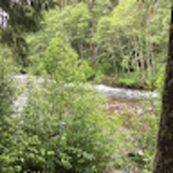 Profile Picture of Tom Caruso (@tomcaruso) on Poshmark