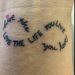 Profile Picture of Amy Utley Query (@aquery010776) on Pinterest