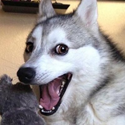 Profile Picture of Roscoe Jenkins (@Al0haxSnackBarx) on Twitter