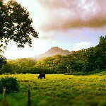 Profile Picture of Michael Mahoney (@mahnapamike) on Instagram