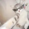 Profile Picture of Rogelio77 (@rogelio.ruizm) on Tiktok