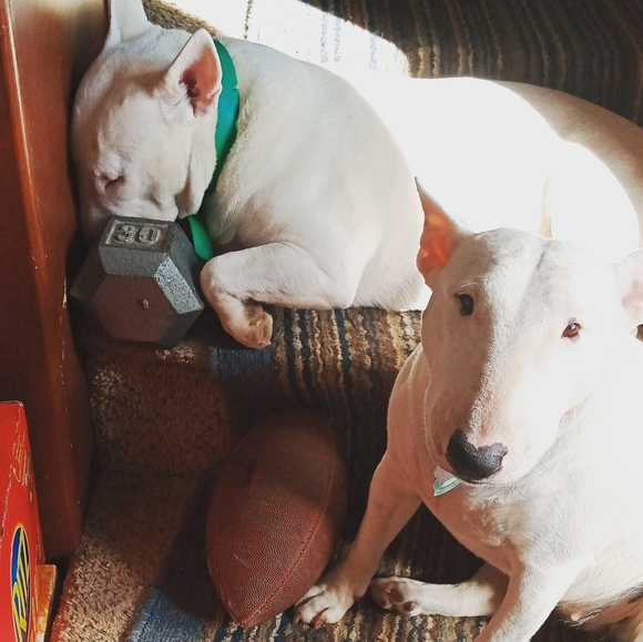 Profile Picture of Steven lynsey Dunaway (@lynseyd12) on Poshmark