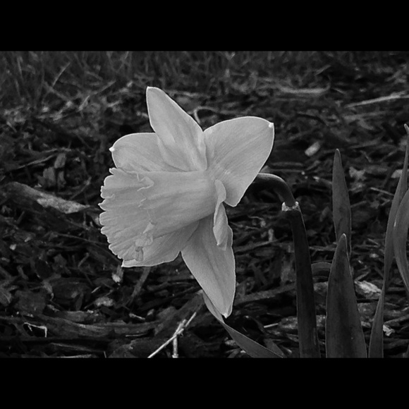 Profile Picture of Tiffany Hetzel (@tsuehetzel) on Poshmark