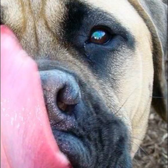 Erin Stuckey - Poshmark Profile Picture of Erin Stuckey (@stuckeyerin) on Poshmark