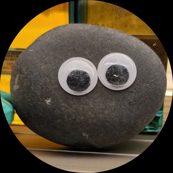 Profile Picture of Eileen Zhang (@ellieteepenguin) on Poshmark