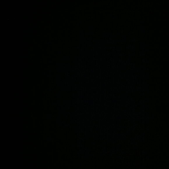 Profile Picture of Freddy Fred (@tanner14) on Poshmark